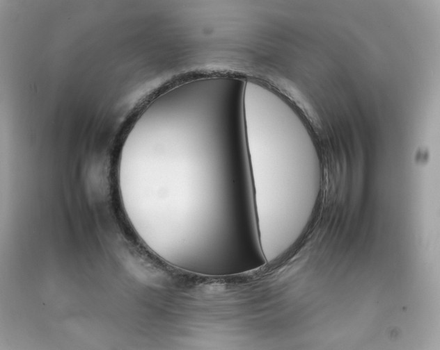 X0000092250588200709141007