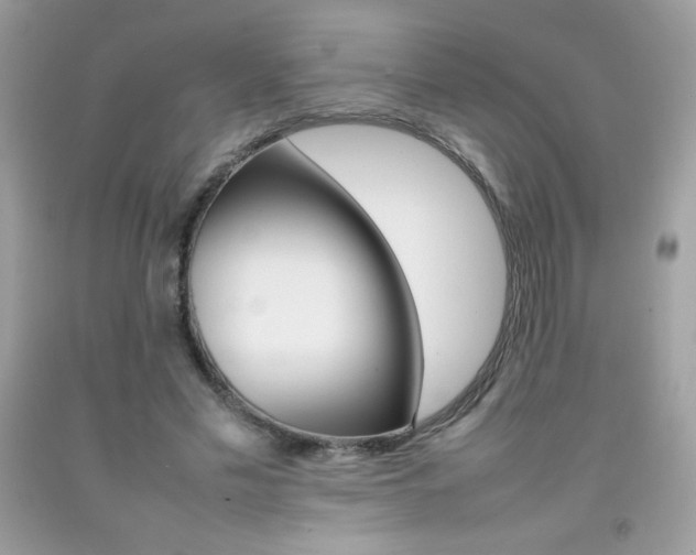 X0000092250589200709141007
