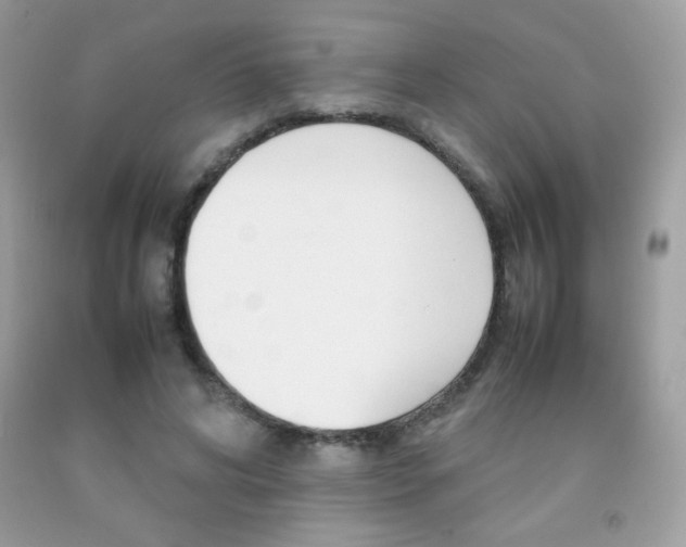X0000092250592200709141007