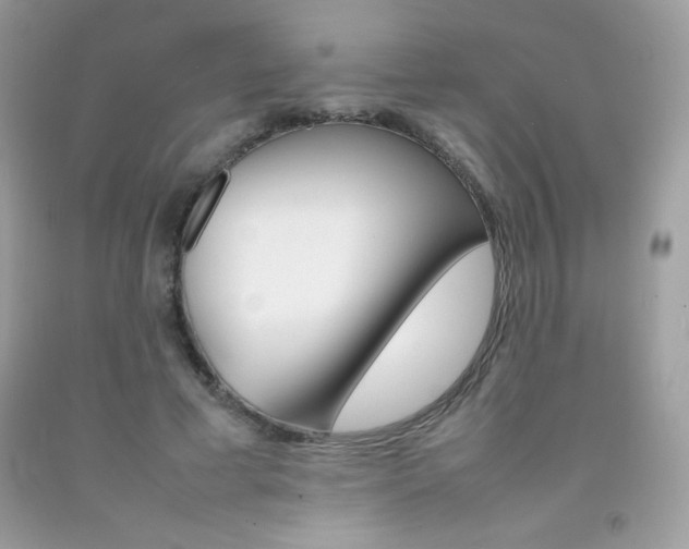 X0000092250593200709141007