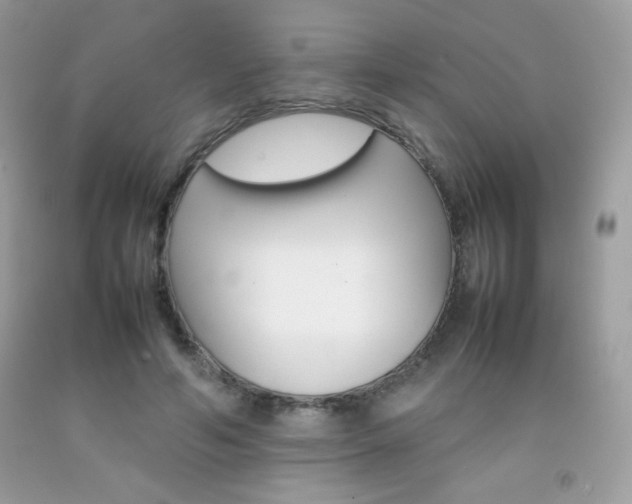 X0000092250594200709141007