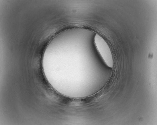 X0000092250595200709141007