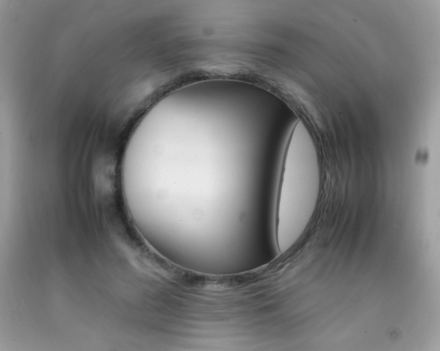X0000092250596200709141007