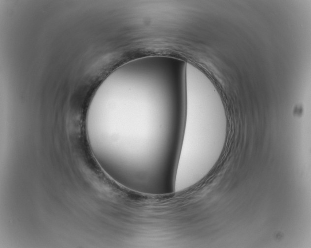 X0000092250597200709141007