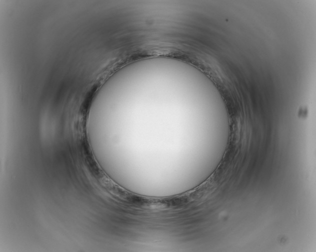 X0000092250598200709141007