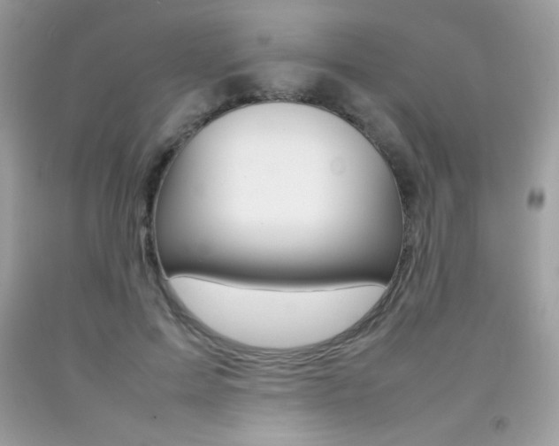 X0000092250599200709141007