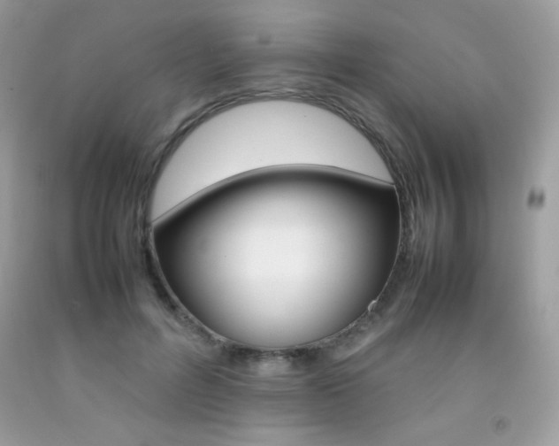 X0000092250600200709141007