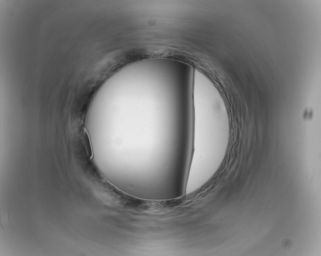 X0000092250601200709141007