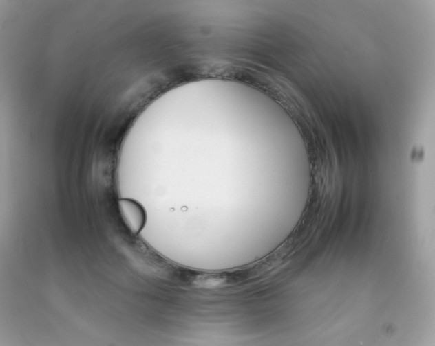 X0000092250602200709141007
