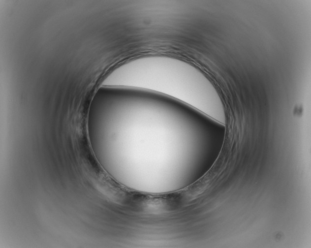X0000092250604200709141007
