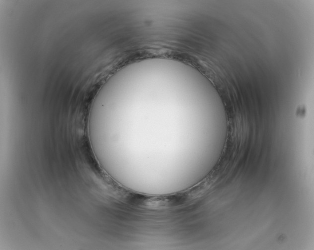 X0000092250606200709141007