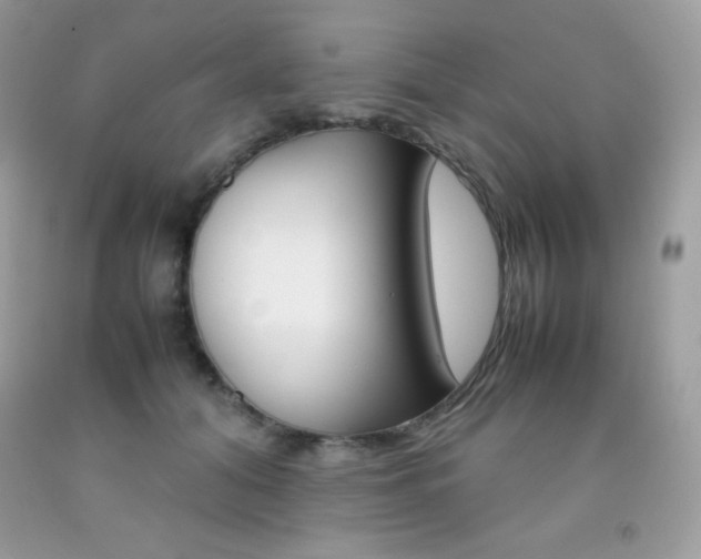 X0000092250608200709141007