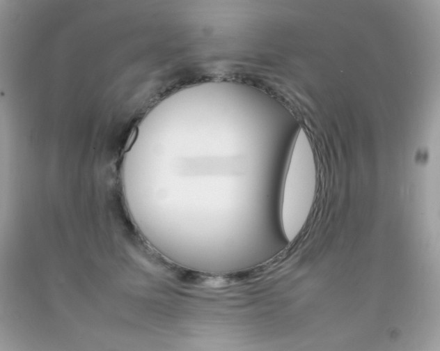 X0000092250611200709141007