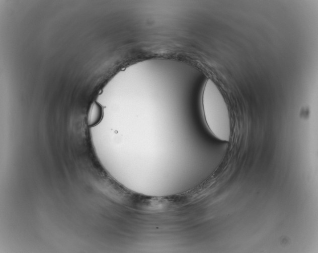 X0000092250612200709141007