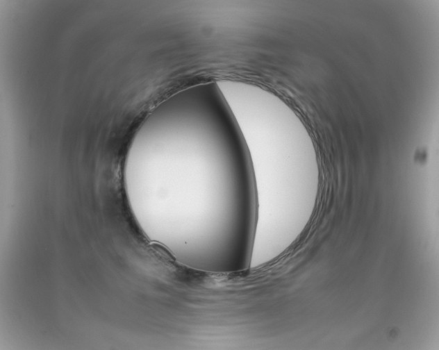 X0000092250613200709141007