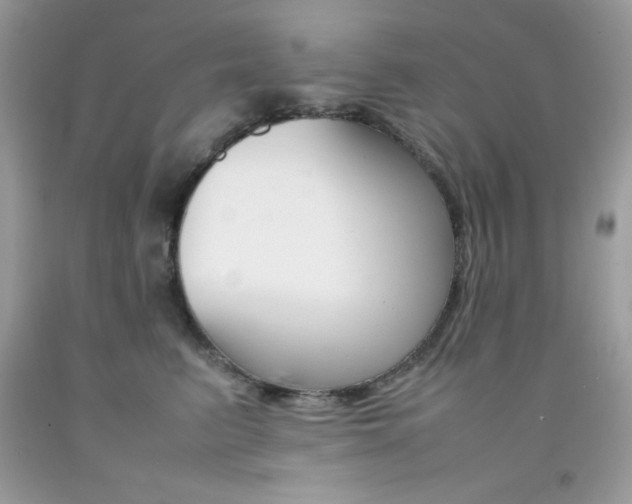 X0000092250615200709141007