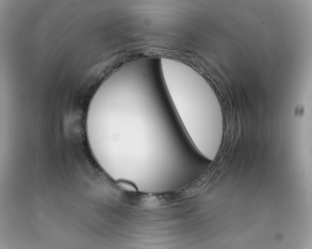 X0000092250616200709141007