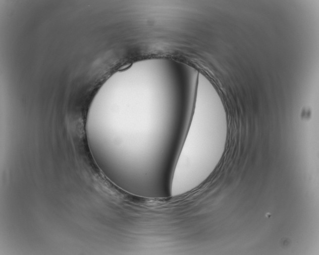 X0000092250617200709141007