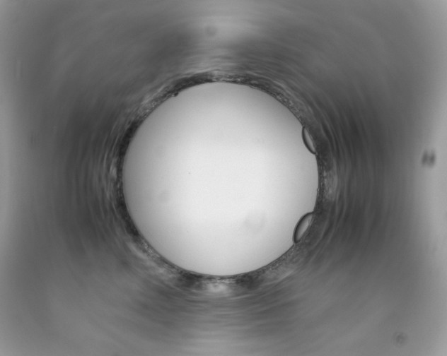 X0000092250618200709141007