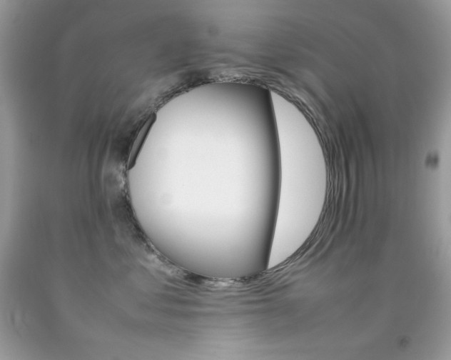 X0000092250621200709141007