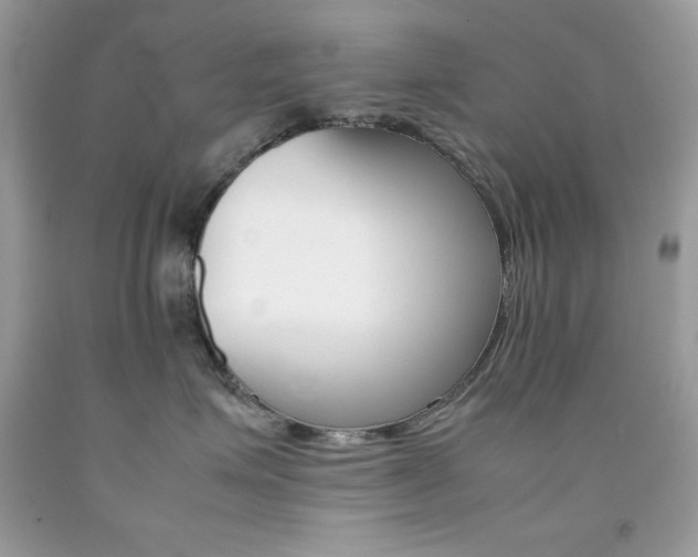X0000092250623200709141007