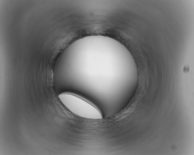 X0000092250624200709141007