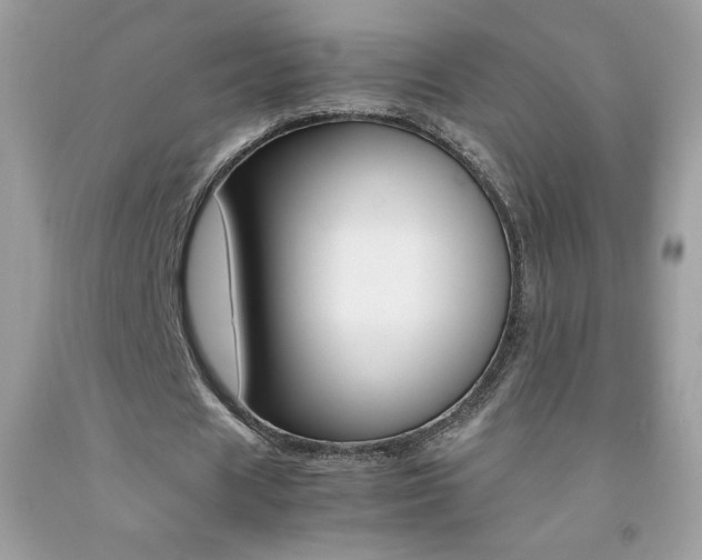 X0000092250625200709141006