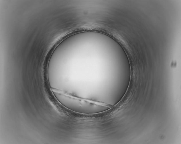 X0000092250626200709141006