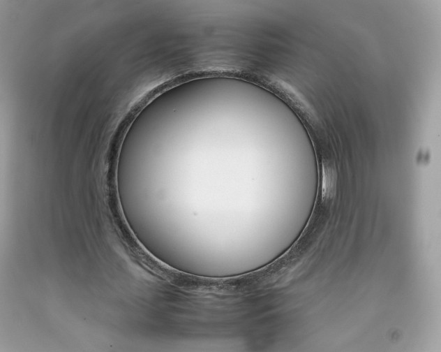 X0000092250627200709141006