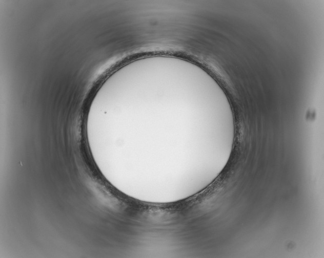 X0000092250632200709141006