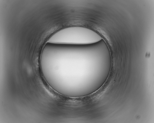 X0000092250633200709141006