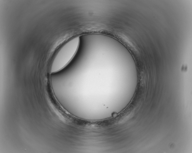 X0000092250634200709141006