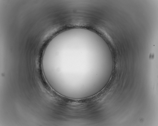 X0000092250635200709141006
