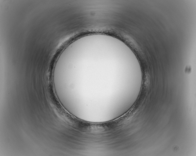 X0000092250636200709141006