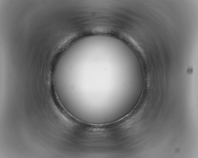 X0000092250637200709141006