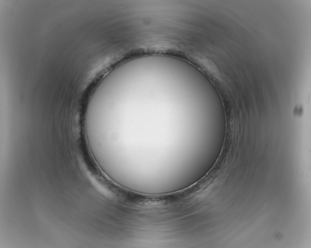 X0000092250638200709141006