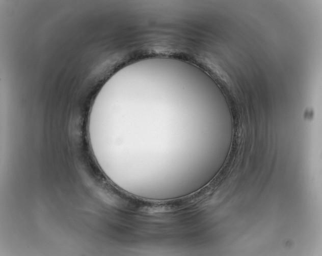 X0000092250639200709141006