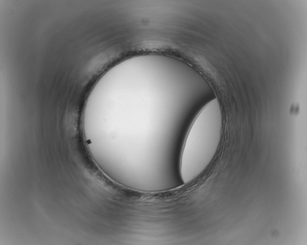 X0000092250640200709141006