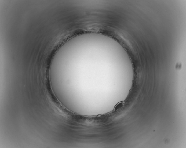 X0000092250641200709141006