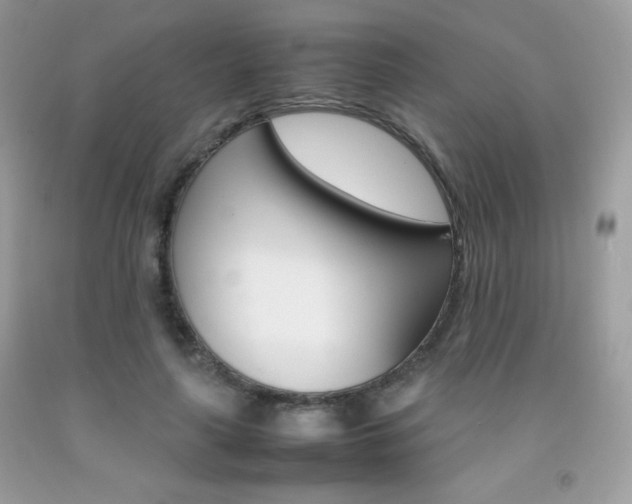X0000092250643200709141006