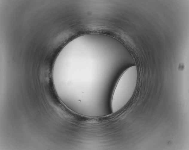 X0000092250644200709141006