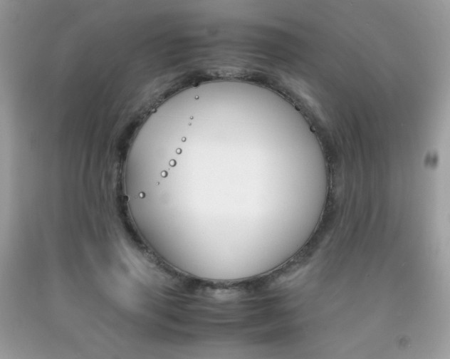 X0000092250645200709141006