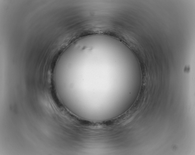 X0000092250646200709141006