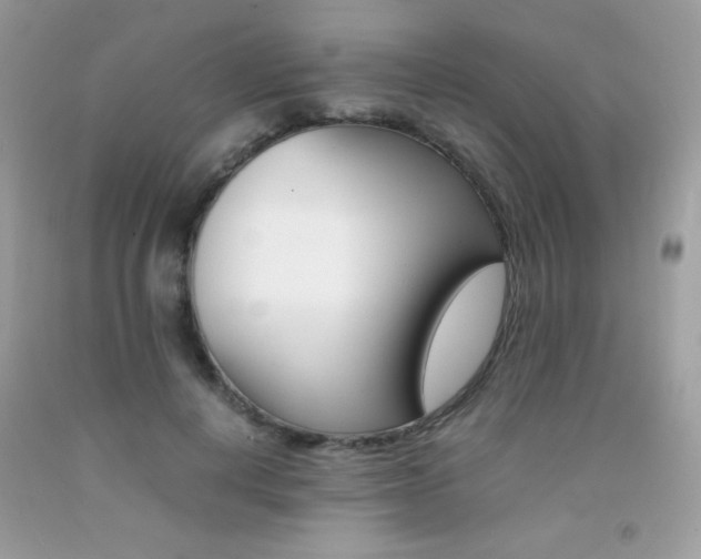 X0000092250648200709141006