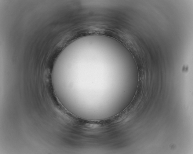 X0000092250649200709141006