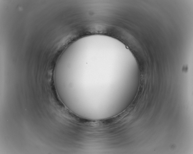 X0000092250652200709141006