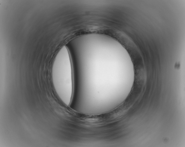 X0000092250653200709141006