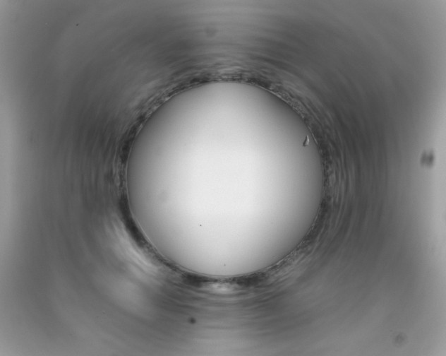X0000092250654200709141006