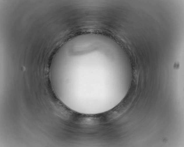 X0000092250657200709141006