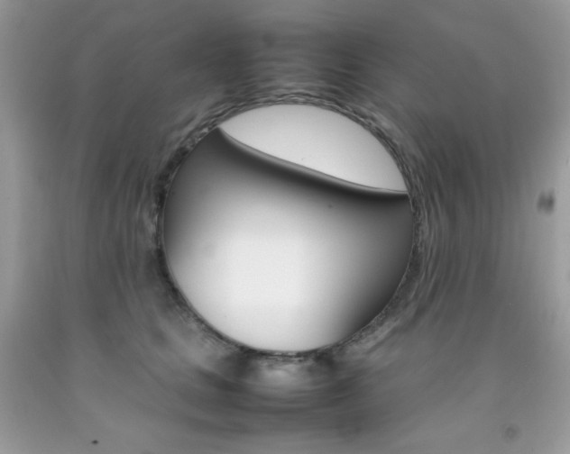 X0000092250661200709141006